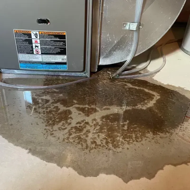 Appliance Leak Cleanup in Socorro County, NM